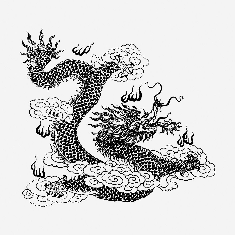 Asian dragon hand drawn illustration. Free public domain CC0 image.