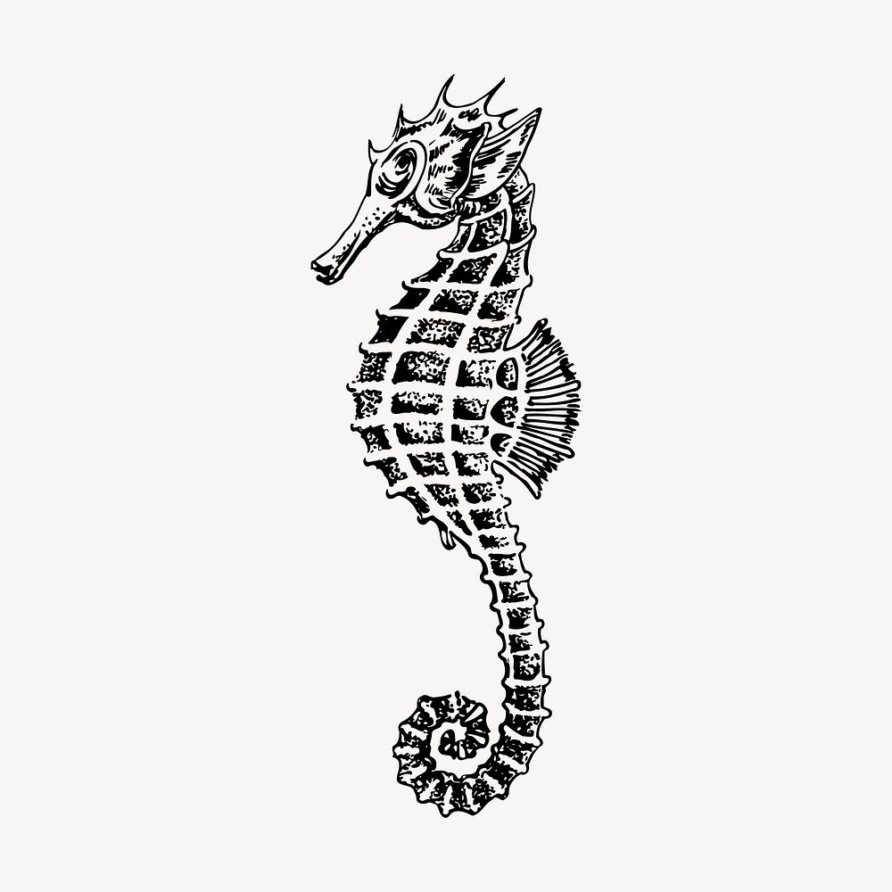 Seahorse underwater animal clipart, vintage illustration vector. Free public domain CC0 image.
