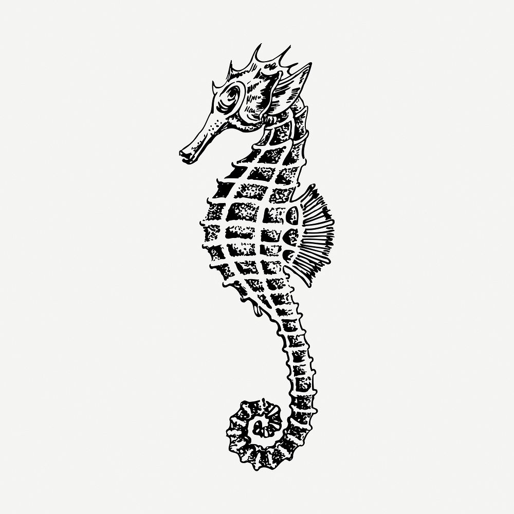 Seahorse underwater animal collage element, vintage illustration psd. Free public domain CC0 image.
