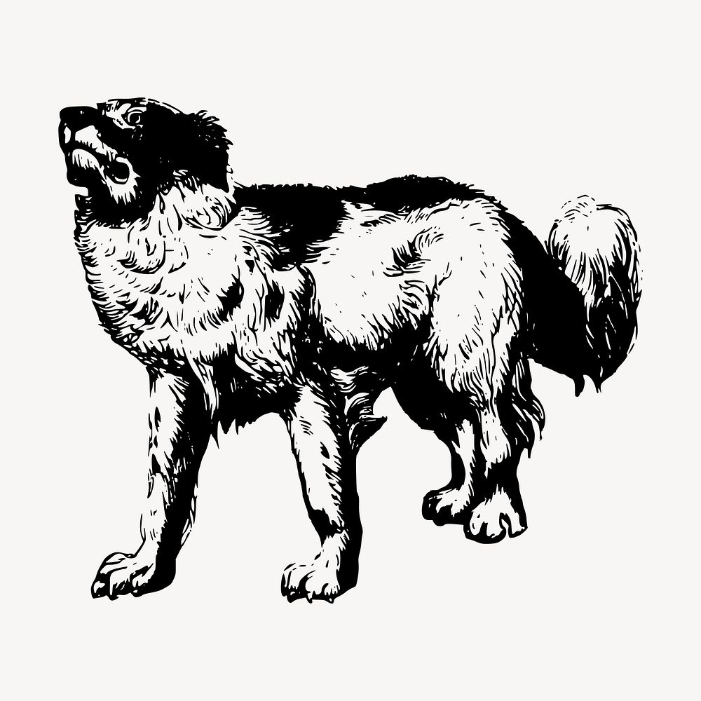 Cute dog drawing clipart, vintage illustration vector. Free public domain CC0 image.