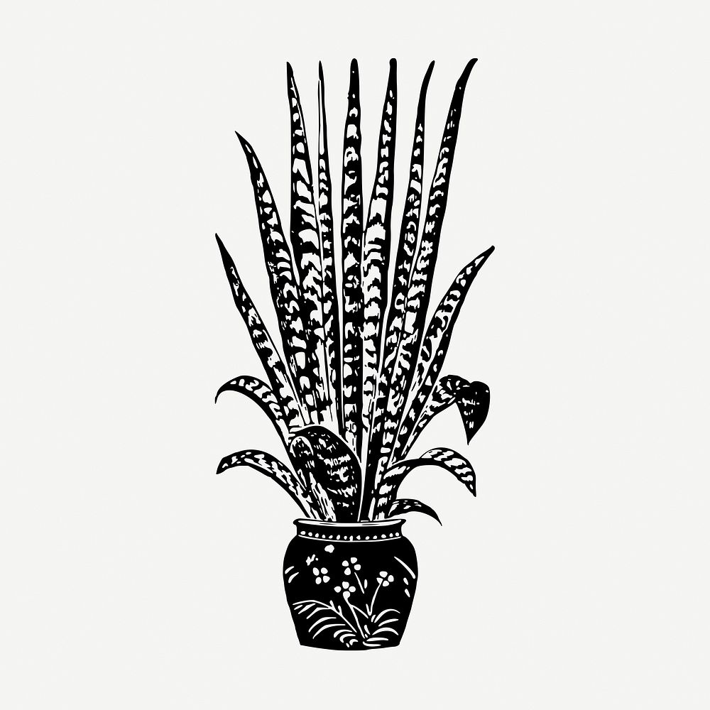 Snake plant collage element, vintage illustration psd. Free public domain CC0 image.