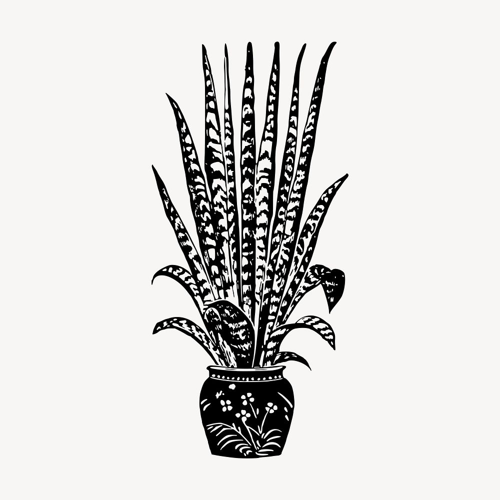 Snake plant clipart, vintage illustration vector. Free public domain CC0 image.
