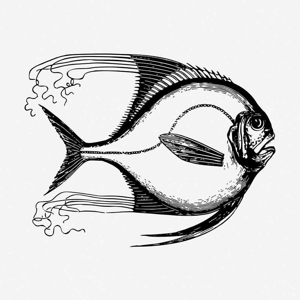 Saltwater fish collage element, vintage illustration psd. Free public domain CC0 image.