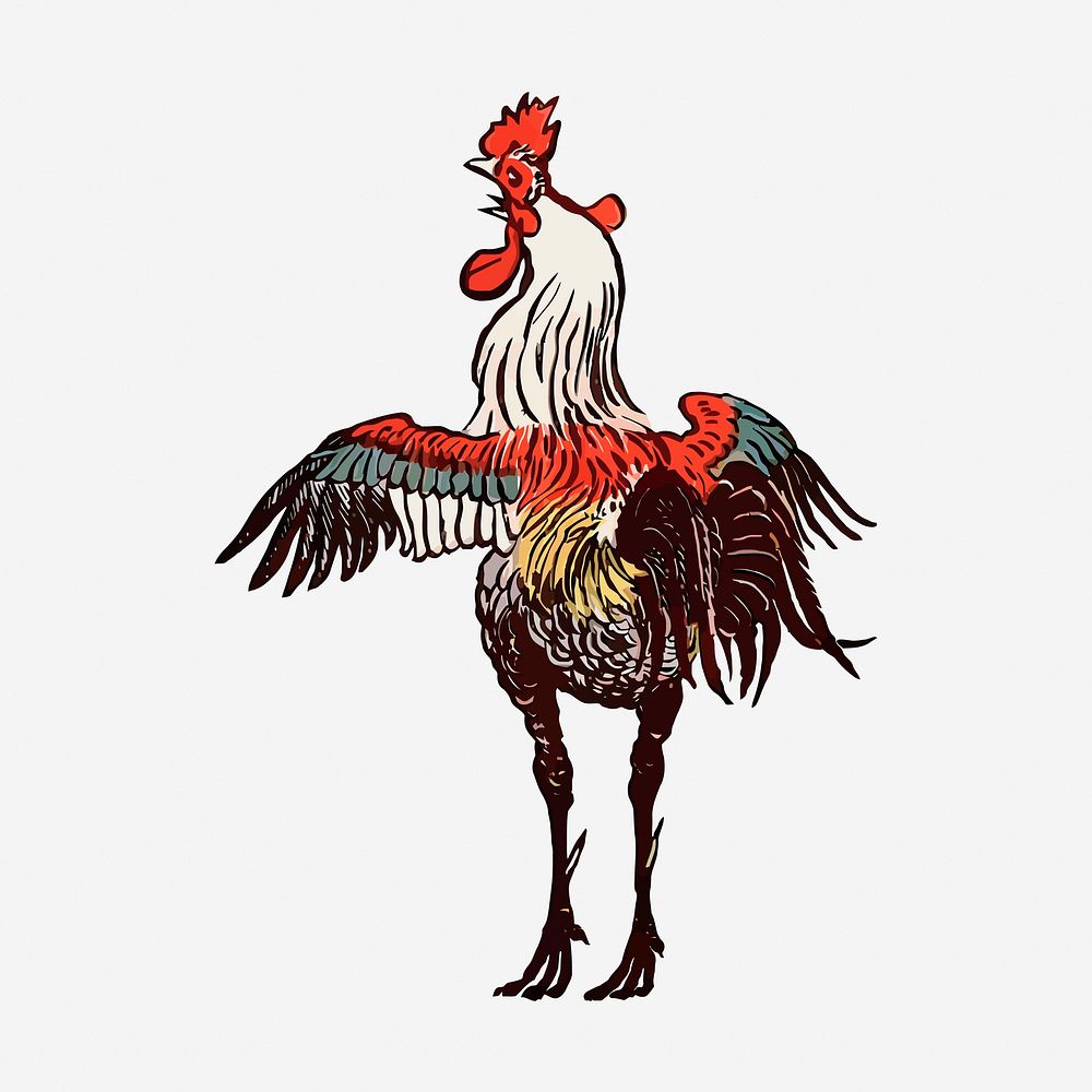 Rooster, farm animal hand drawn illustration. Free public domain CC0 image.