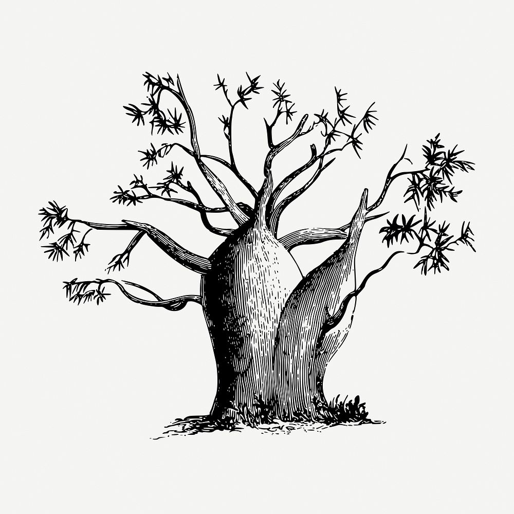 Gouty stem tree collage element, vintage illustration psd. Free public domain CC0 image.