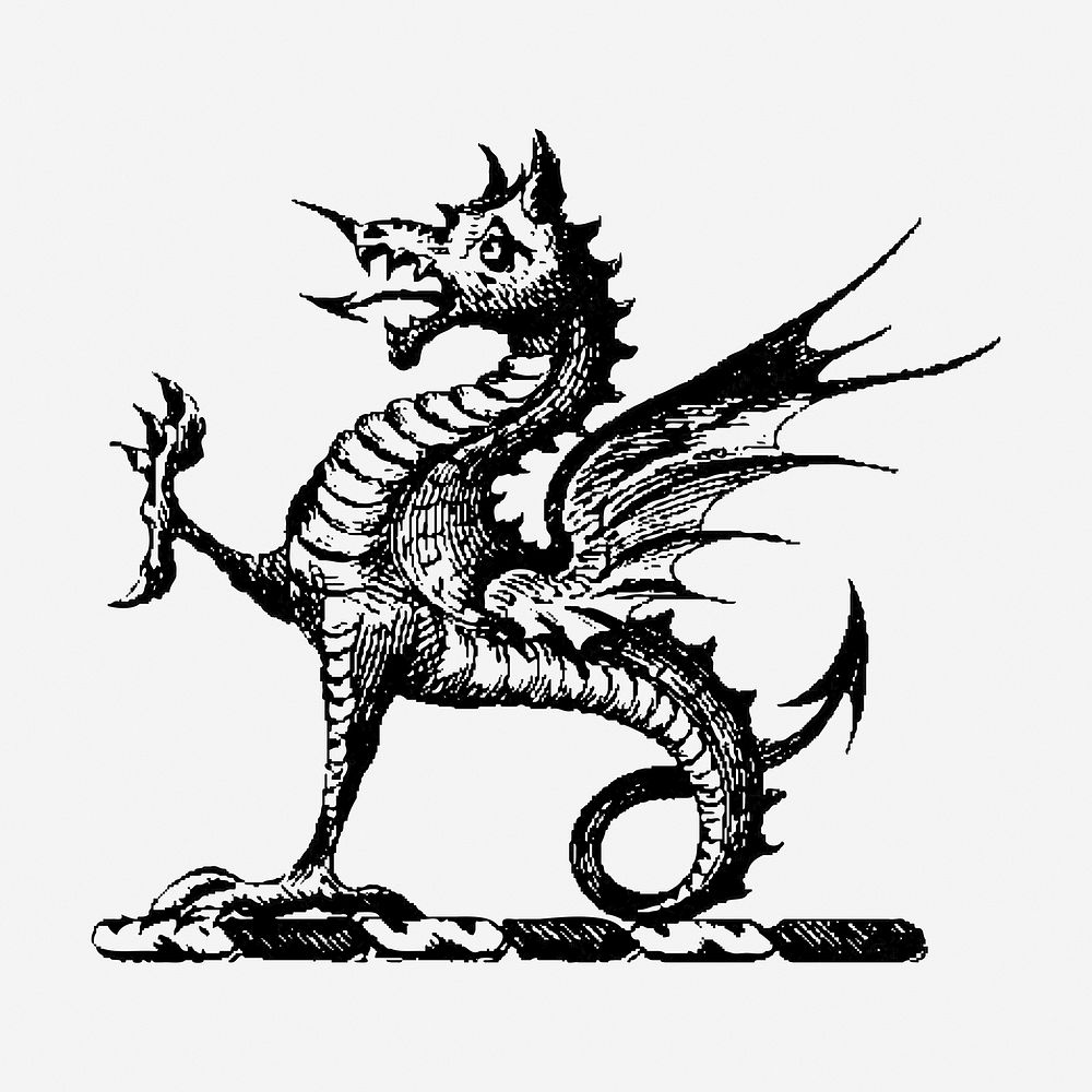 Griffin mythical animal hand drawn illustration. Free public domain CC0 image.