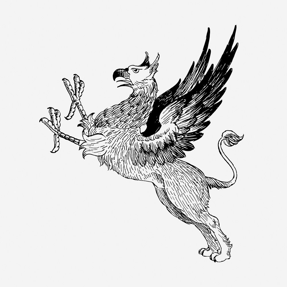 Griffin mythical animal hand drawn illustration. Free public domain CC0 image.