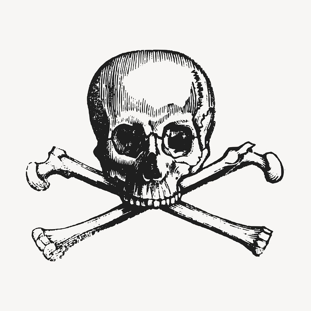 Human skull clipart, vintage illustration vector. Free public domain CC0 image.