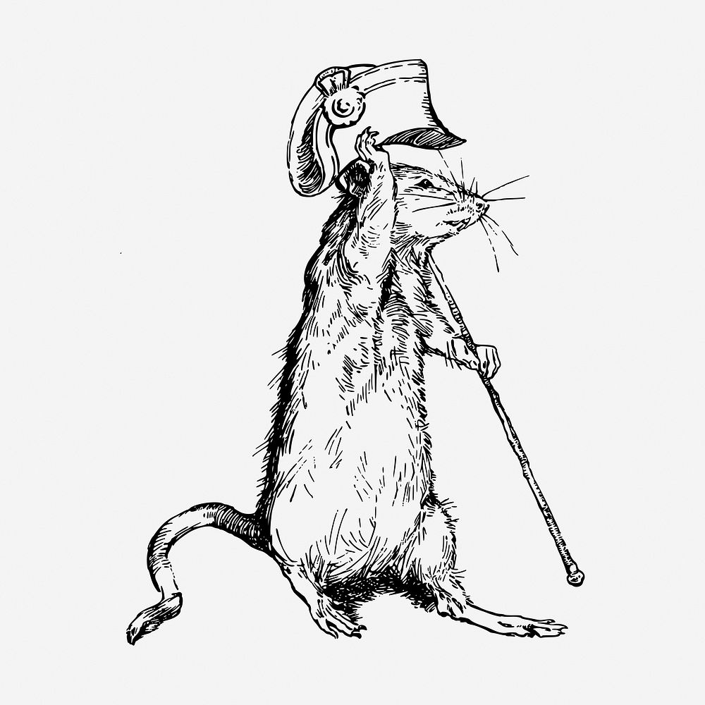 Mouse with hat hand drawn illustration. Free public domain CC0 image.