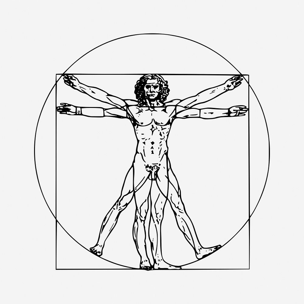 Leonardo da Vinci inspired Vitruvian man drawing, human anatomy illustration. Free public domain CC0 image.