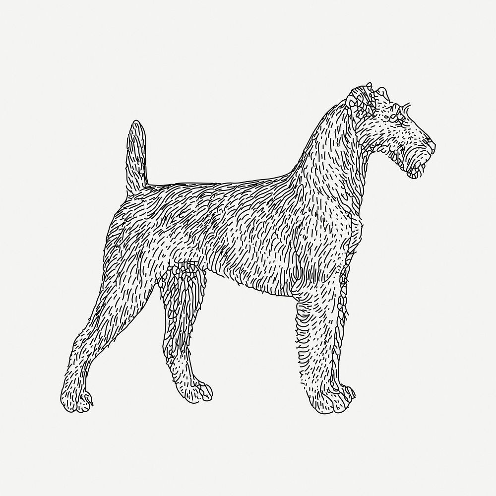 Irish Terrier dog drawing, vintage animal illustration psd. Free public domain CC0 image.