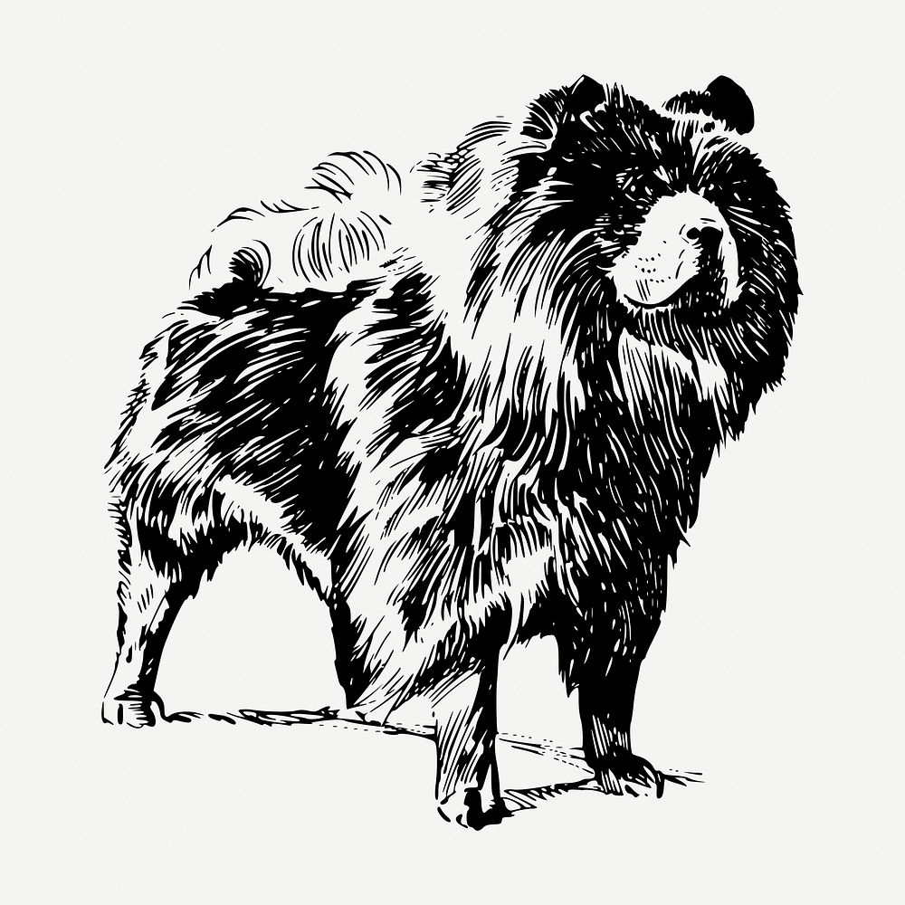 Chow Chow dog drawing, hand drawn illustration psd. Free public domain CC0 image.