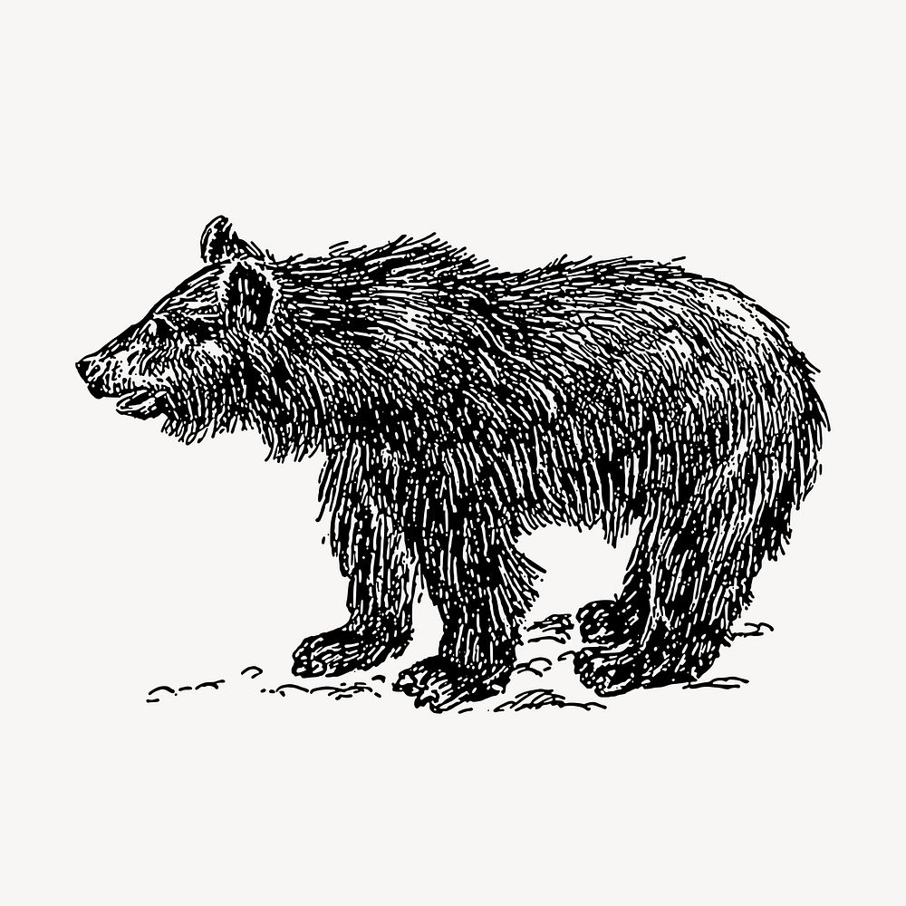 Vintage bear drawing, wild animal illustration vector. Free public domain CC0 image.