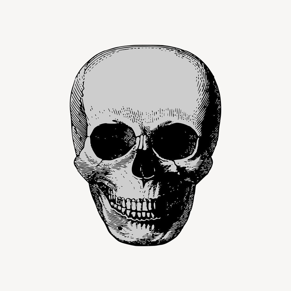 Human skull drawing clipart, Halloween vintage illustration vector. Free public domain CC0 image.