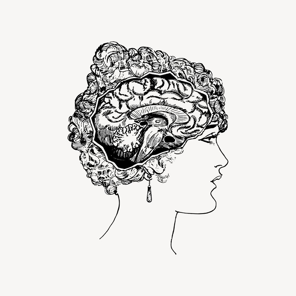 Woman's brain drawing, medical vintage hand drawn illustration vector. Free public domain CC0 image.