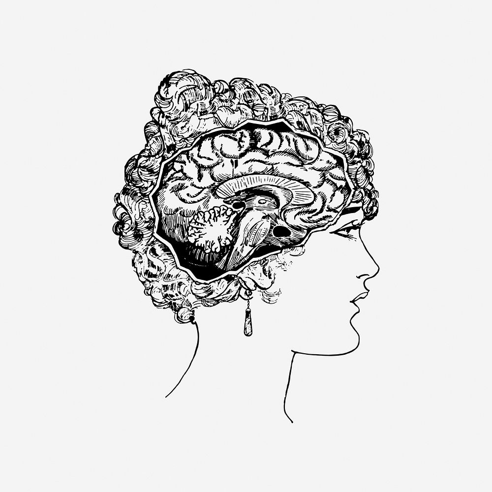 Woman's brain portrait drawing, medical vintage illustration. Free public domain CC0 image.