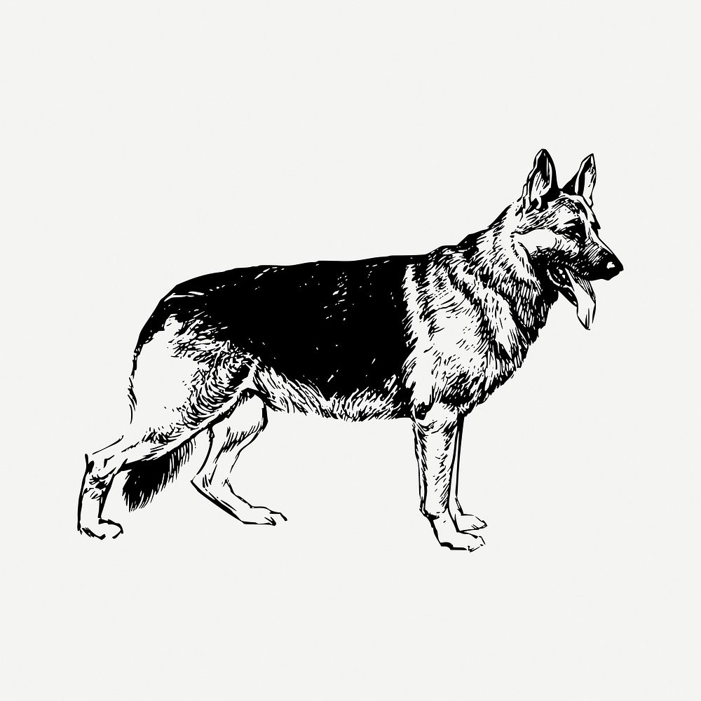 German Shepherd dog drawing, vintage animal illustration psd. Free public domain CC0 image.