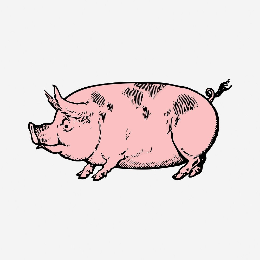 Pink pig clipart, farm animal illustration. Free public domain CC0 image.