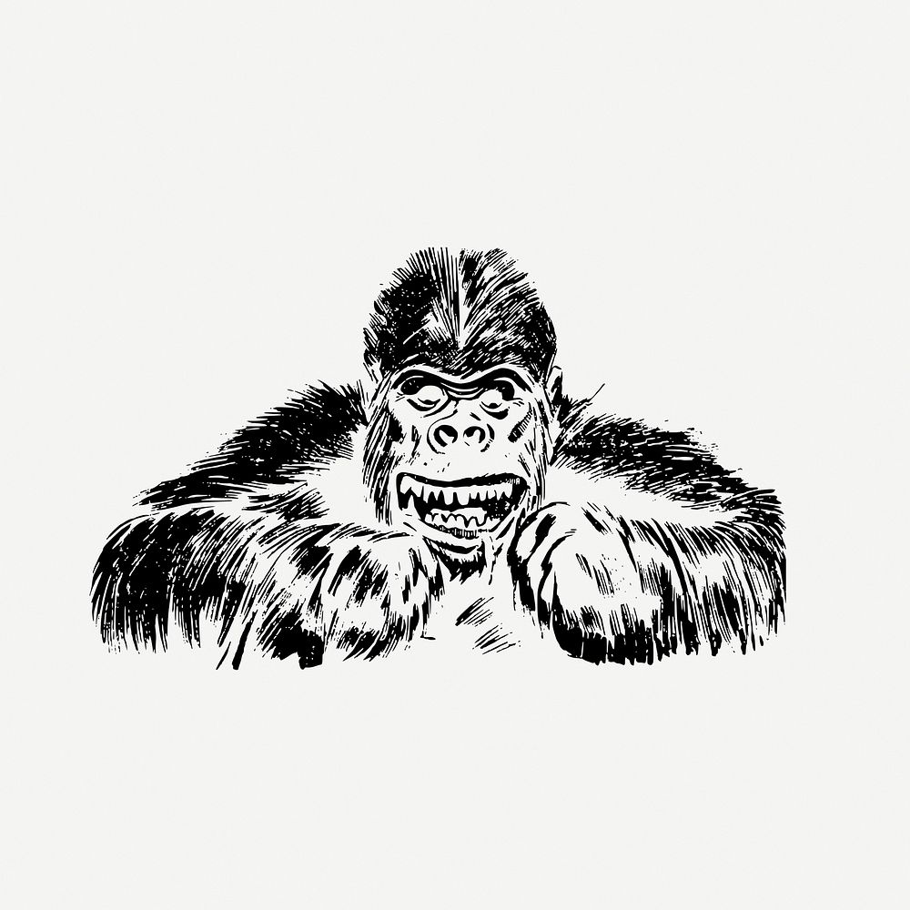 Gorilla drawing clipart, vintage animal, wildlife illustration psd. Free public domain CC0 image.