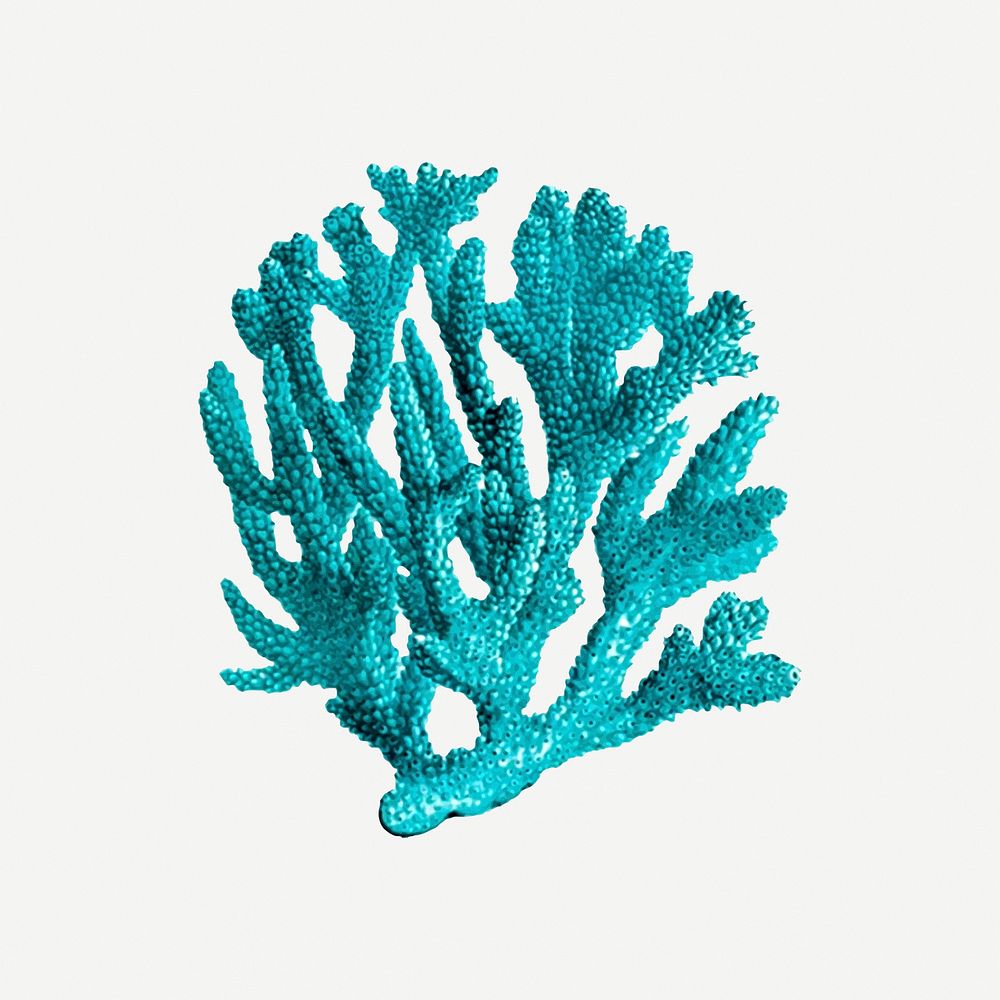 Blue coral clipart, sea life illustration psd. Free public domain CC0 image.