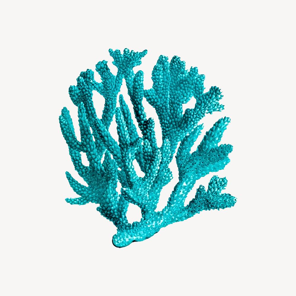 Blue coral clipart, sea life illustration vector. Free public domain CC0 image.