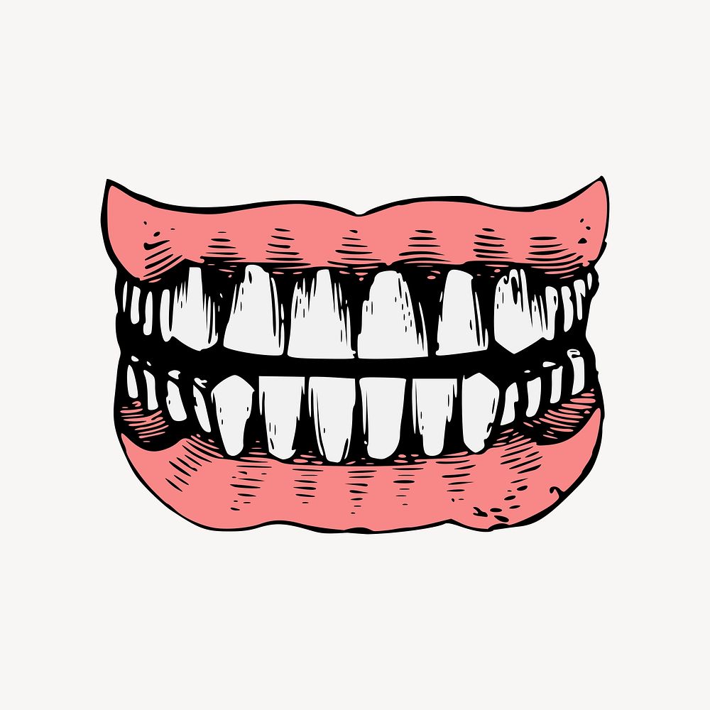 Human teeth, vintage dental illustration vector. Free public domain CC0 image.