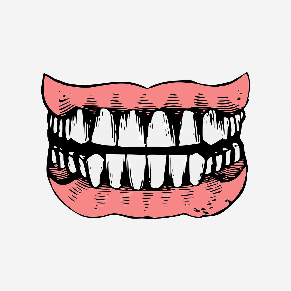 Human teeth, vintage dental illustration. Free public domain CC0 image.
