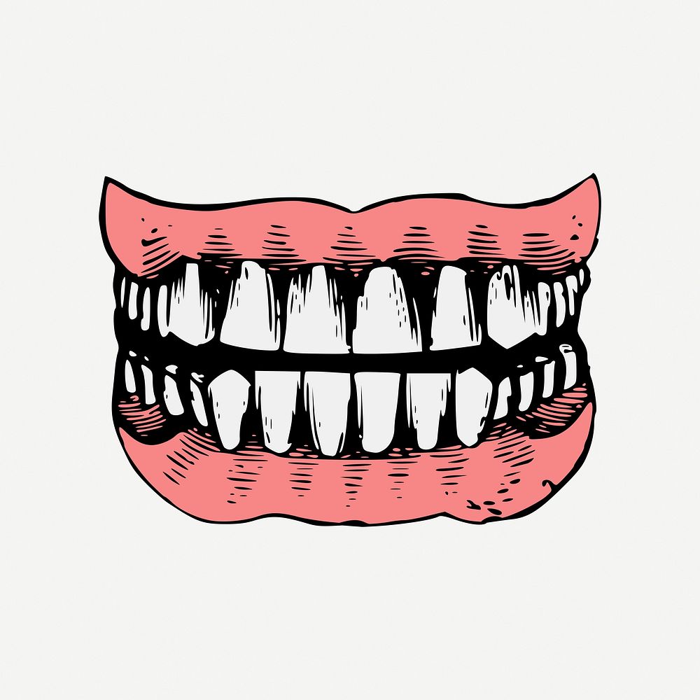 Human teeth, vintage dental illustration psd. Free public domain CC0 image.