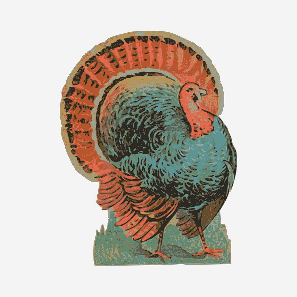 Turkey clipart, vintage bird illustration. Free public domain CC0 image.