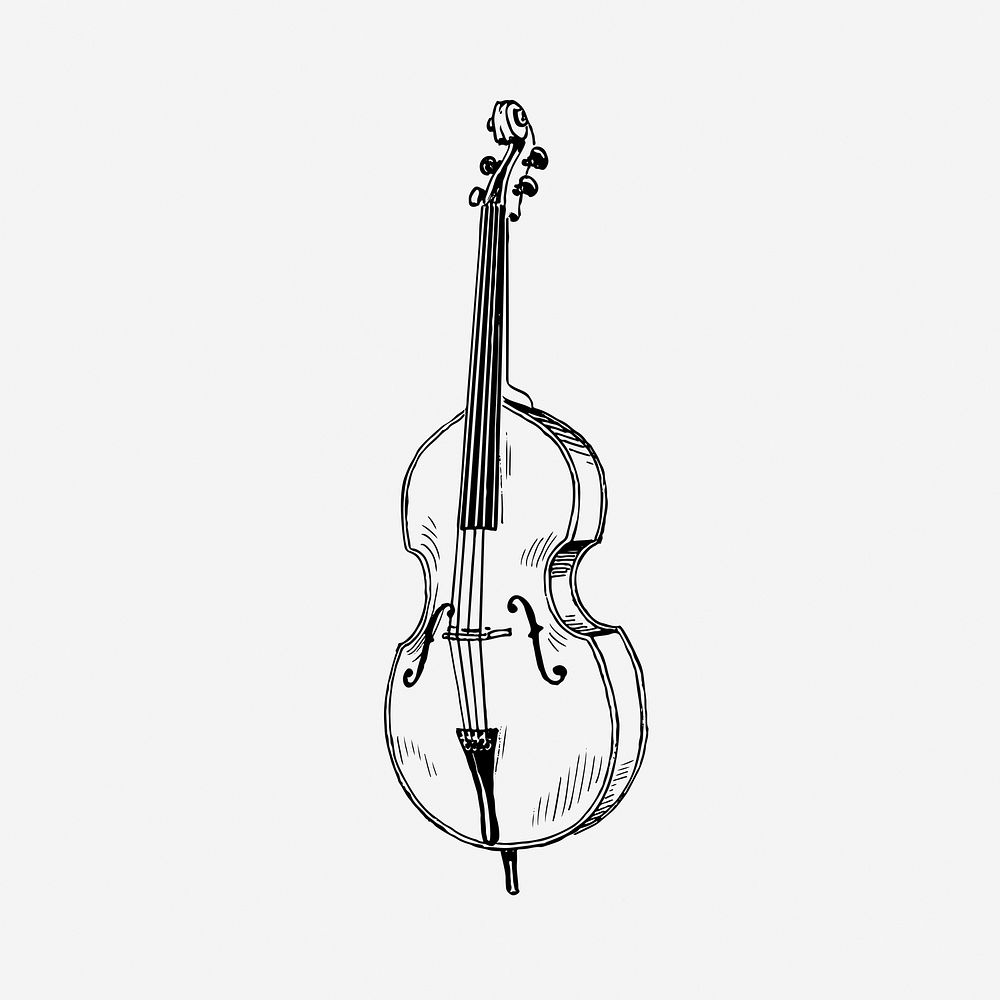 Vintage cello, musical instrument illustration. Free public domain CC0 image.