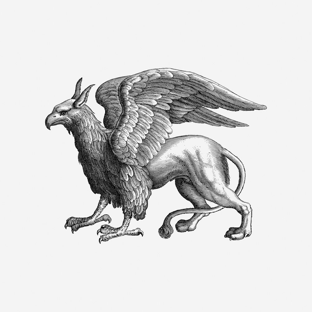 Vintage Griffin, mythical creature illustration. Free public domain CC0 image.