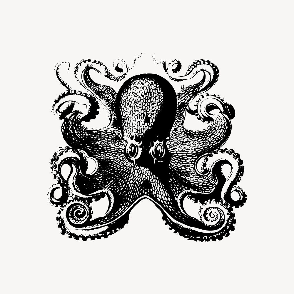 Octopus drawing clipart, vintage sea life illustration vector. Free public domain CC0 image.