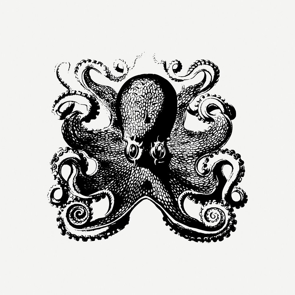 Octopus drawing clipart, vintage sea | Free PSD - rawpixel