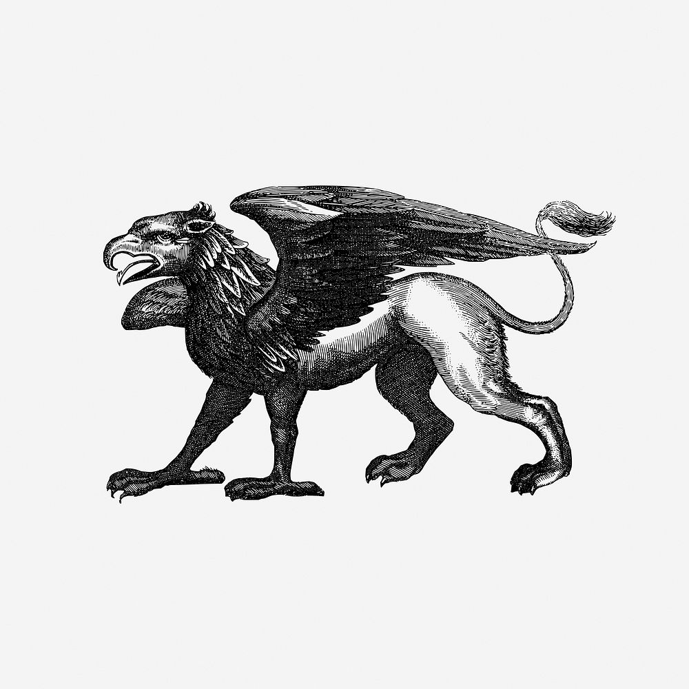 Vintage Griffin drawing, mythical creature illustration. Free public domain CC0 image.