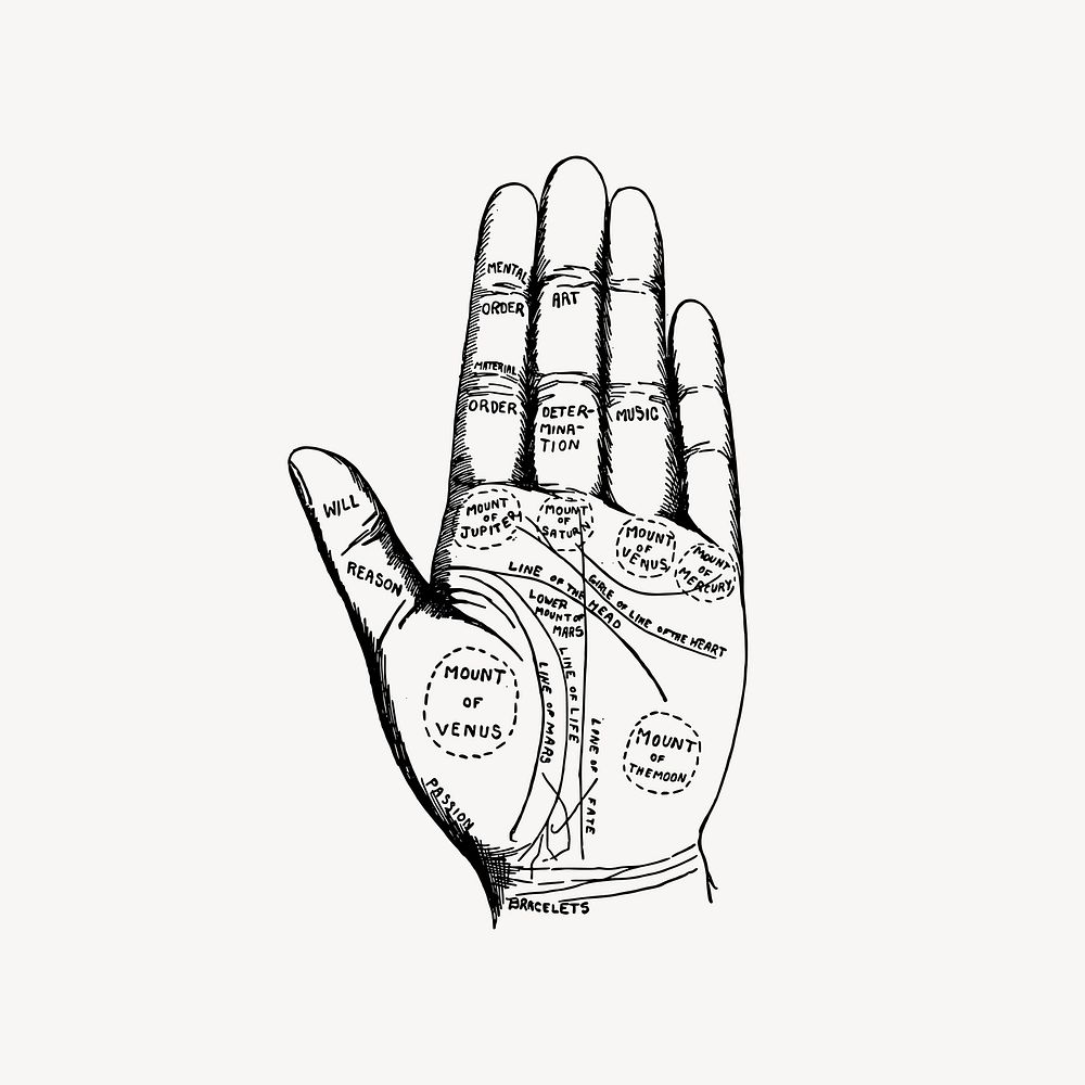 Palmistry chart hand clipart, vintage illustration vector. Free public domain CC0 image.