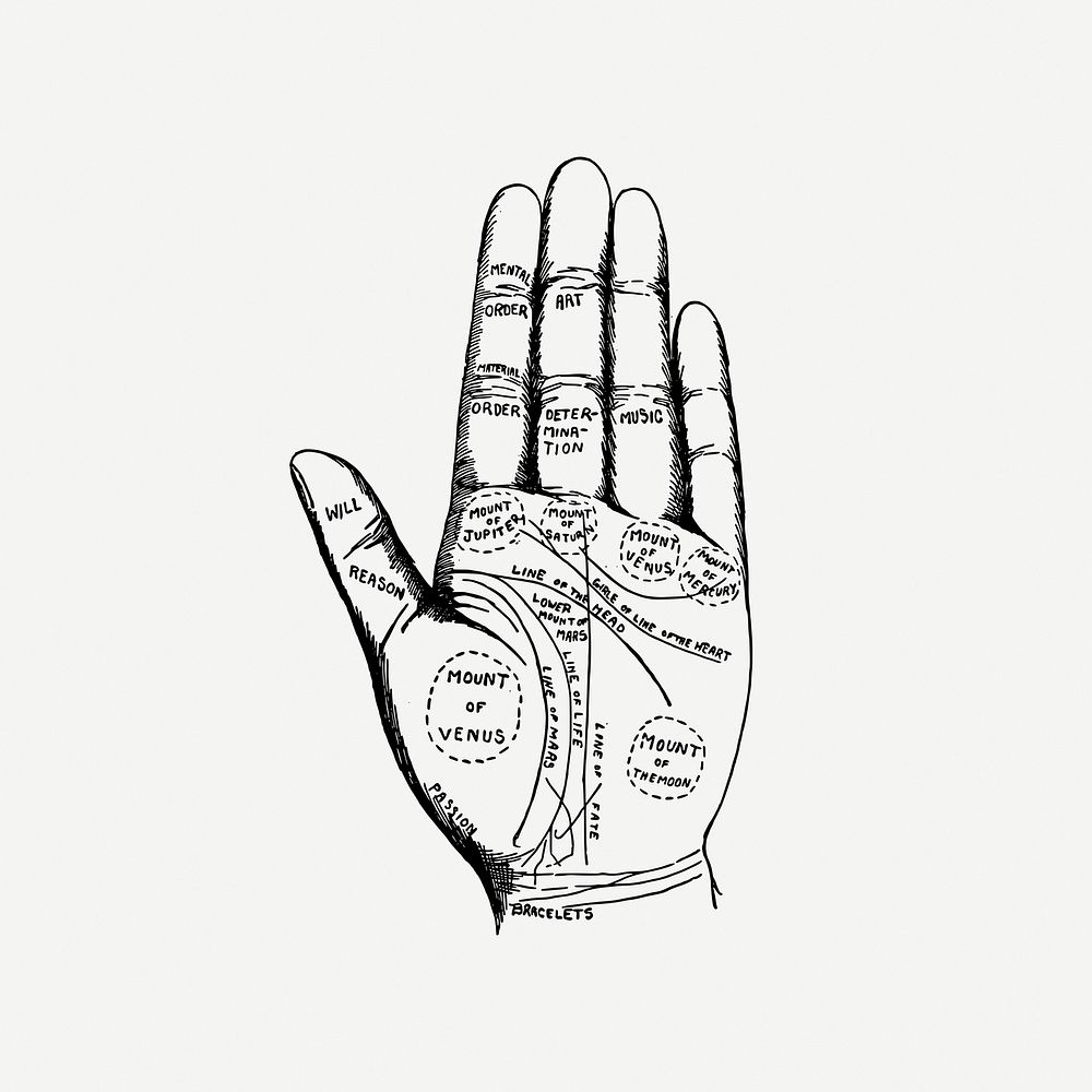 Palmistry chart hand drawing, vintage illustration psd. Free public domain CC0 image.