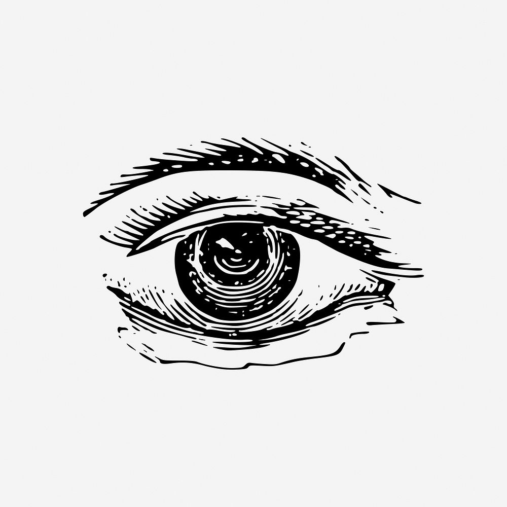 Vintage eye drawing, body part hand drawn illustration. Free public domain CC0 image.