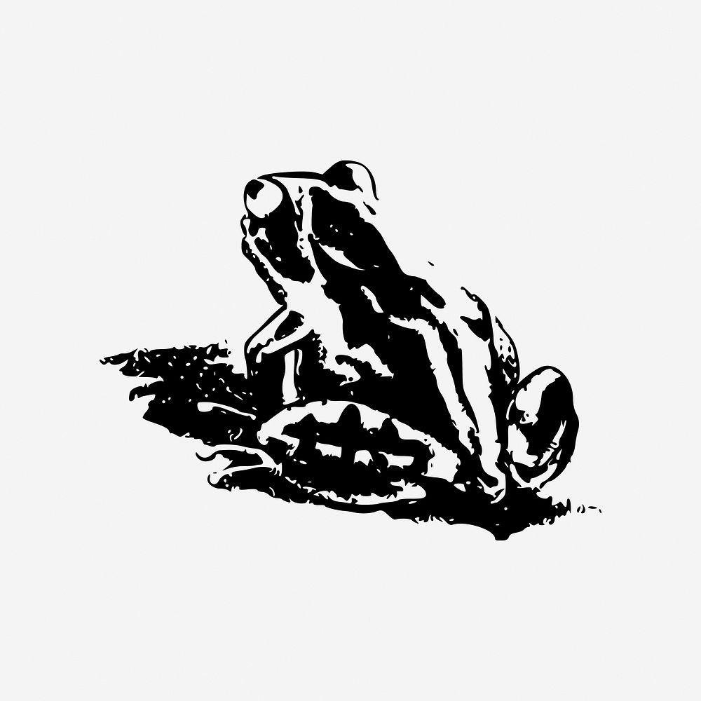 Vintage frog drawing, animal illustration. Free public domain CC0 image.