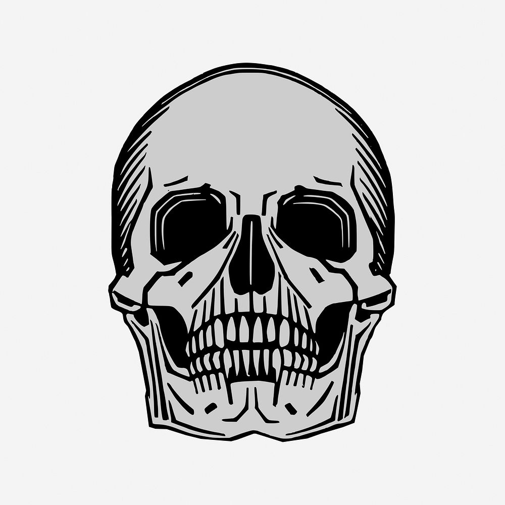 Halloween human skull hand drawn illustration. Free public domain CC0 image.