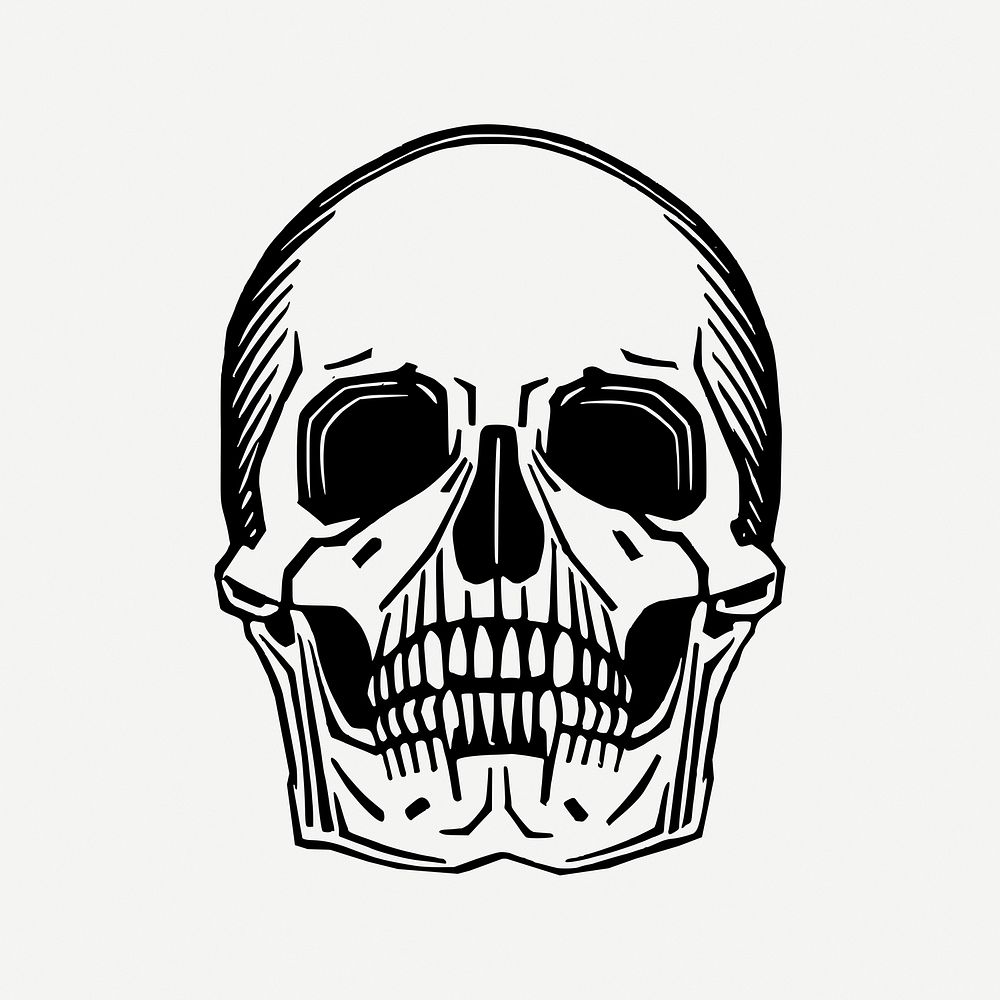 Human skull drawing, Halloween illustration psd. Free public domain CC0 image.