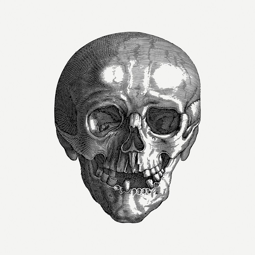 Skull drawing clipart, black and white illustration psd. Free public domain CC0 image.