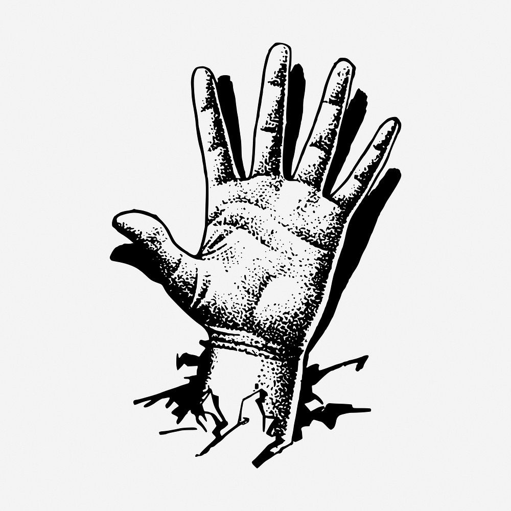 Palm hand drawn illustration. Free public domain CC0 image.