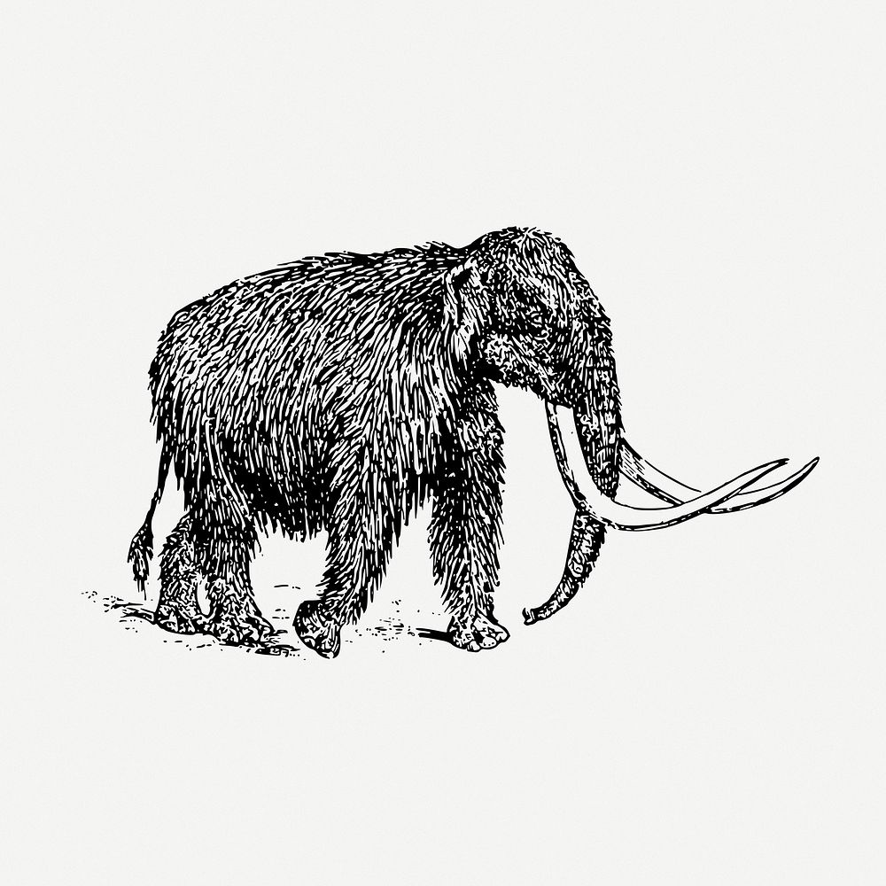 Mammoth drawing clipart, extinct animal illustration psd. Free public domain CC0 image.