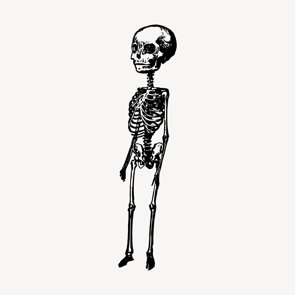 Big head skeleton hand drawn clipart, death illustration vector. Free public domain CC0 image.