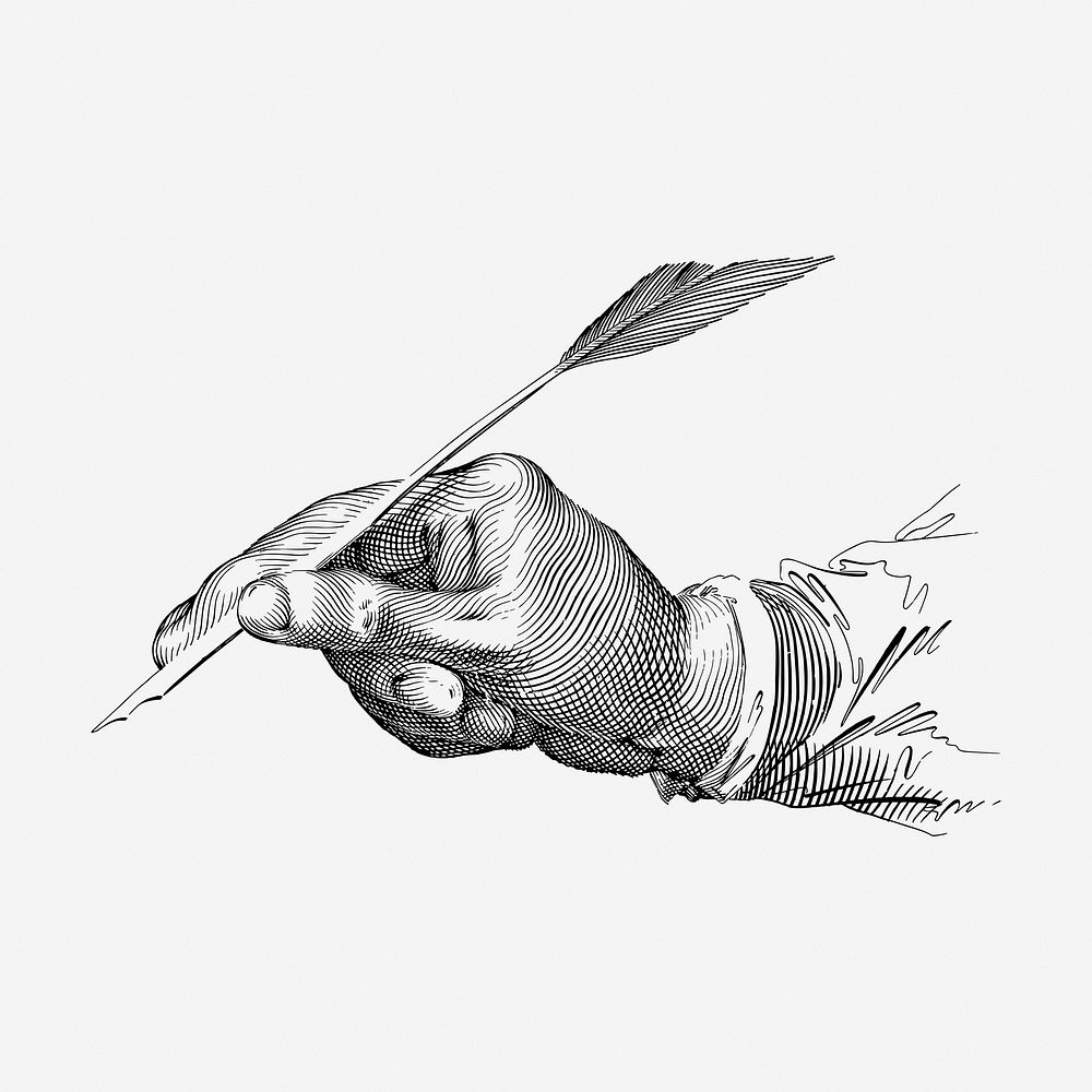 Quill writing  hand drawn illustration. Free public domain CC0 image.