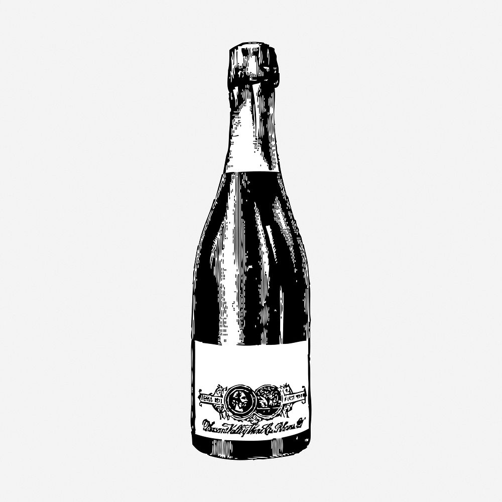 Champagne bottle hand drawn illustration. Free public domain CC0 image.