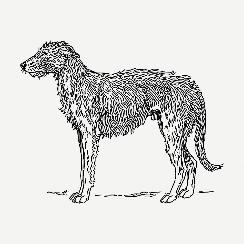 Deerhound dog drawing clipart, pet | Free PSD - rawpixel