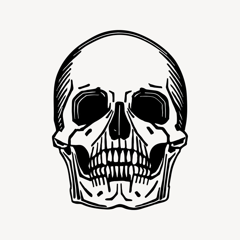 Skull hand drawn clipart, death illustration vector. Free public domain CC0 image.