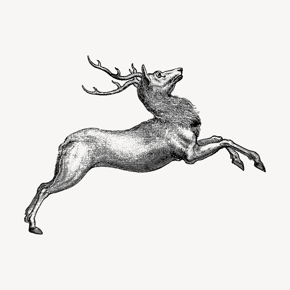 Leaping reindeer hand drawn clipart, animal illustration vector. Free public domain CC0 image.