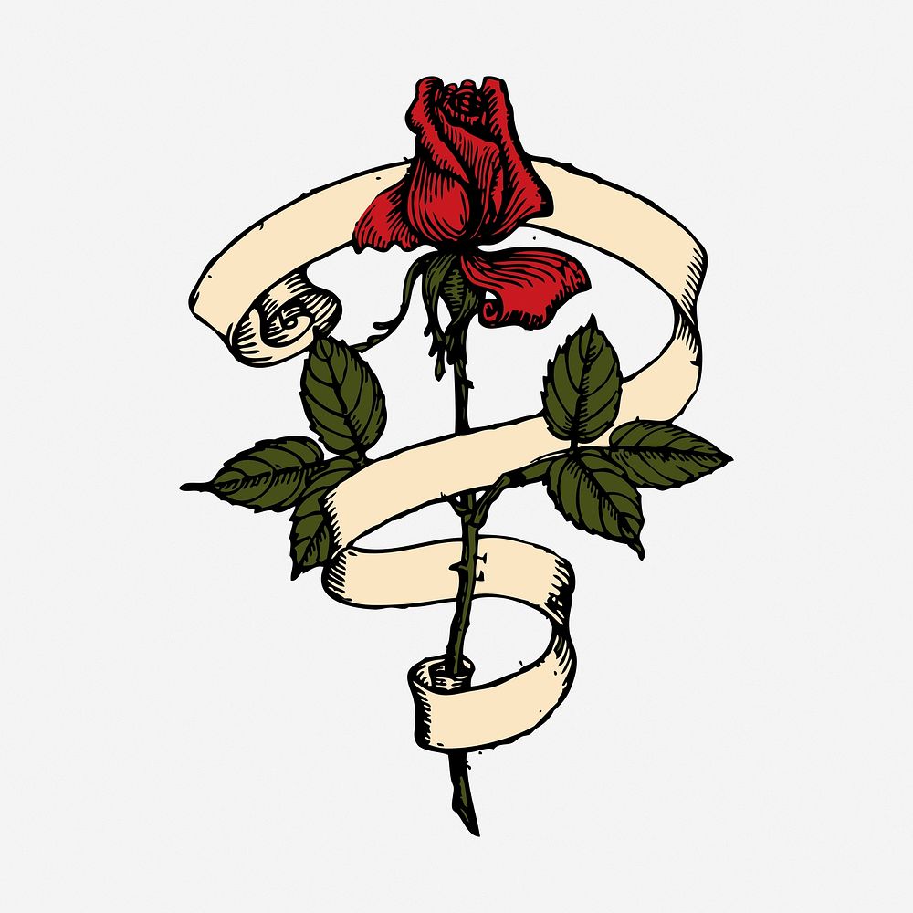 Red rose and roll illustration. Free public domain CC0 image.